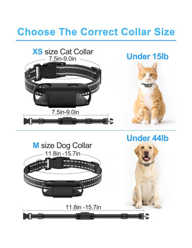 Collar de Cámara para Gatos H88 - Grabación HD 1080P XS