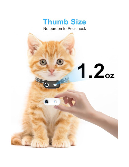 Collar de Cámara para Gatos H88 - Grabación HD 1080P XS