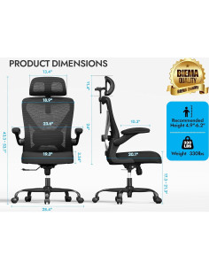 Silla de Oficina Ergonómica Ergalithic X100-1 con Soporte Lumbar 2