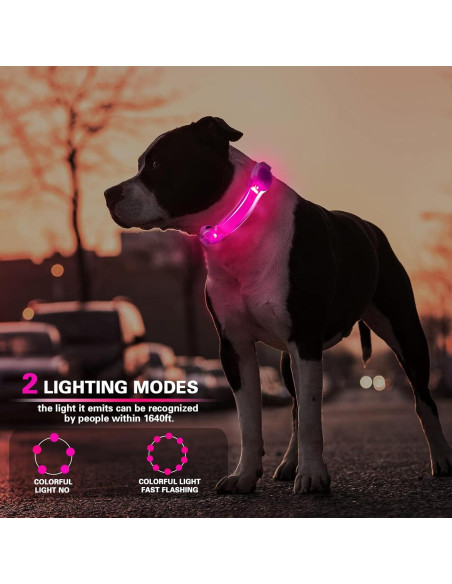 Paquete de 2 luces LED para collar de perro Fashion&cool