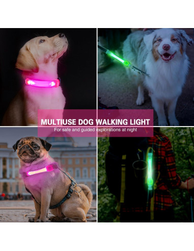 Paquete de 2 luces LED para collar de perro Fashion&cool