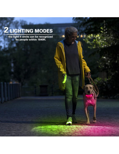 Paquete de 2 luces LED para collar de perro Fashion&cool