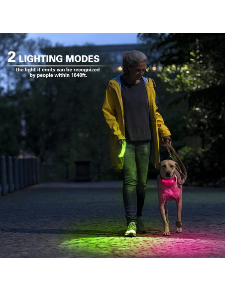 Paquete de 2 luces LED para collar de perro Fashion&cool