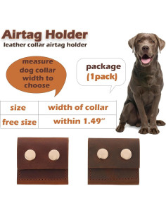 Collar para Perro DISCPETSEC Cuero Alta Calidad 3.79 cm Ancho 2