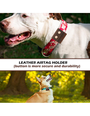 Collar para Perro DISCPETSEC Cuero Alta Calidad 3.79 cm Ancho