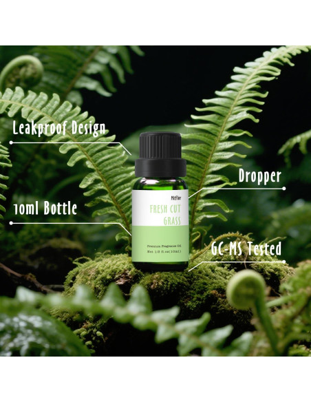 Set de Aceites de Fragancia MitFlor 10ml x 6 para Difusores Set de Aceites de Fragancia MitFlor 10ml x 6 para Difusores