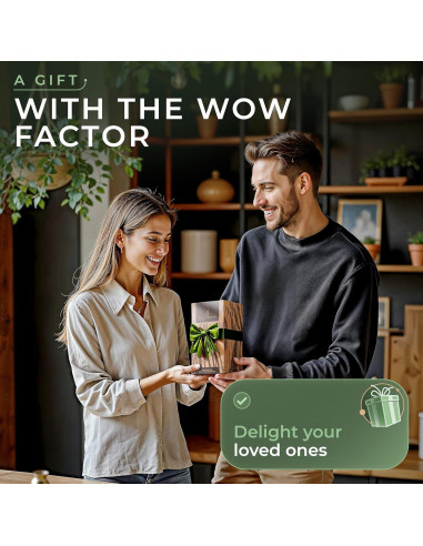 Conjunto Molinillos Eléctricos de Sal y Pimienta WALDWERK