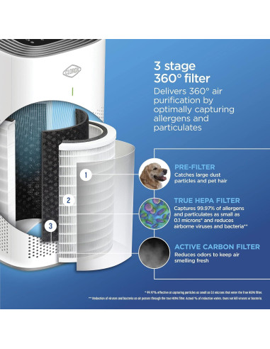 Filtro de Reemplazo True HEPA Clorox 12010 para Purificador