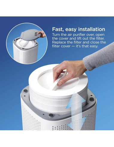 Filtro de Reemplazo True HEPA Clorox 12010 para Purificador