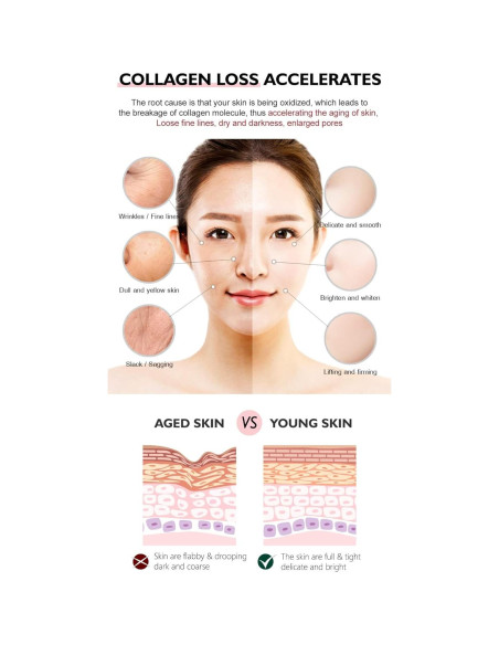 Crema Facial Anti Envejecimiento ALPAIS con Retinol 30g