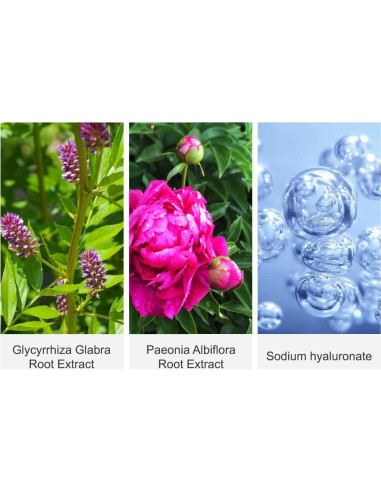 Crema Facial Anti Envejecimiento ALPAIS con Retinol 30g