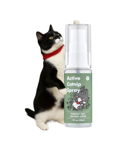Spray de Catnip Orgánico JAYU PET 29.57 ml - Alivia Estrés Gatos