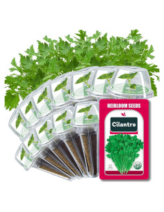 Kit de Vasos de Semillas HiHOYA para Cilantro - 12 Unidades
