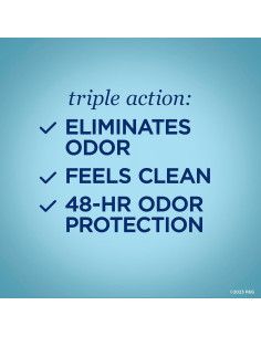 Desodorante Libre de Aluminio Secret Lavanda 68 g - 48 horas 2