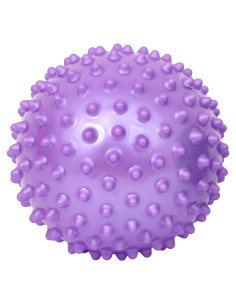 Pelota Táctil Espinosa Diversión y Función 20 cm Morado