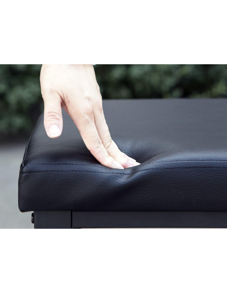 Estante para zapatos Finnhomy con asiento acolchado negro