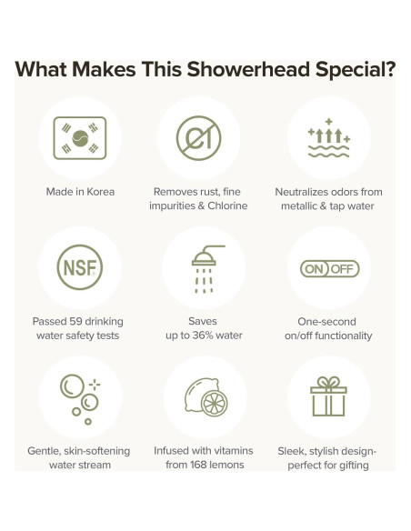 Cabezal de Ducha Filtrado BODIBEAM - Vitamina C, Alta Presión