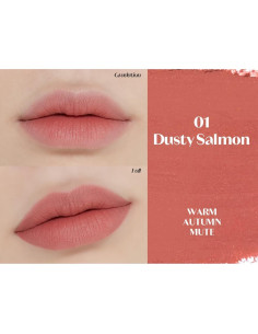 Lápiz Labial ETUDE Lip Tailor 0.8g Salmón Polvoriento - Larga Duración 2