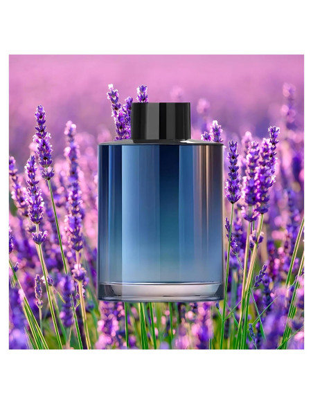 Recarga de Perfume para Ambientador de Coche Inteligente Lavanda 150ml Recarga de Perfume para Ambientador de Coche Inteligente Lavanda 150ml