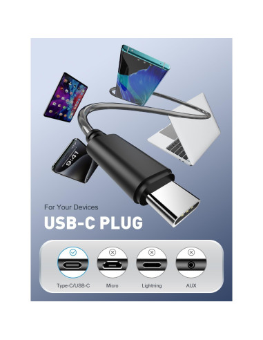 Auriculares In Ear RYTHFLO WD01 HiFi USB-C con Micrófono