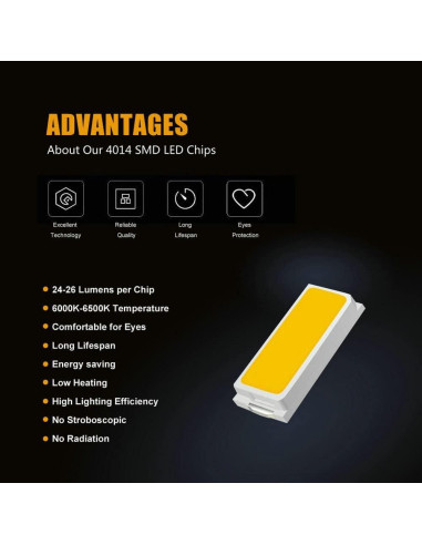 Kit de 40 Bombillas LED DODOFUN 12V 6000K para Coches