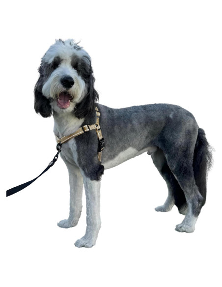 Arnés para Perros ShawnCo Dream Walk Pro - Sin Tirones, Ajustable, Reflectante