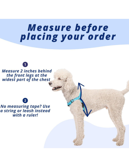 Arnés para Perros ShawnCo Dream Walk Pro - Sin Tirones, Ajustable, Reflectante