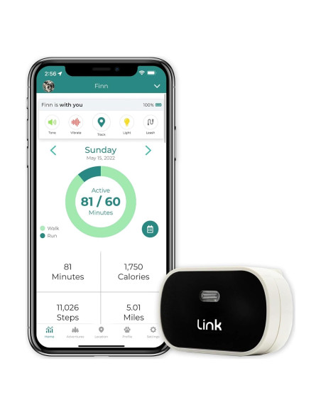 Rastreador GPS para Perros Link My Pet - Salud y Actividad