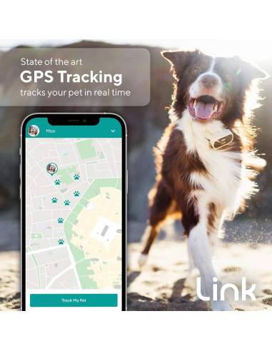 Rastreador GPS para Perros Link My Pet - Salud y Actividad