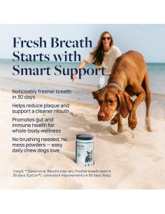 Suplemento Dental para Perros Veterinary Formula - 60 Masticables 2