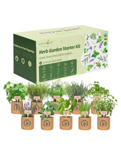 Kit de Jardín de Hierbas de Interior Environet - 10 Variedades Orgánicas
