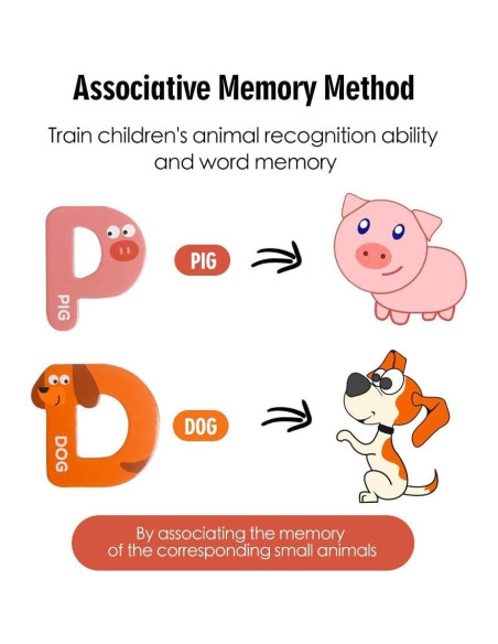 Letras Magnéticas Jumbo JCREN Animales 26 Piezas para Niños