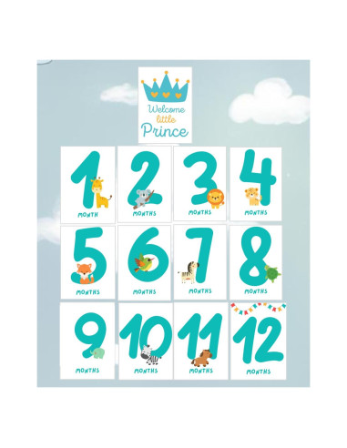 Tarjetas de Hitos Mensuales Bebé TODOKRAFT Azul 13 Piezas