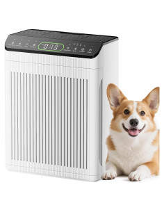 Purificador de Aire EVALIT para Habitaciones Grandes 204m