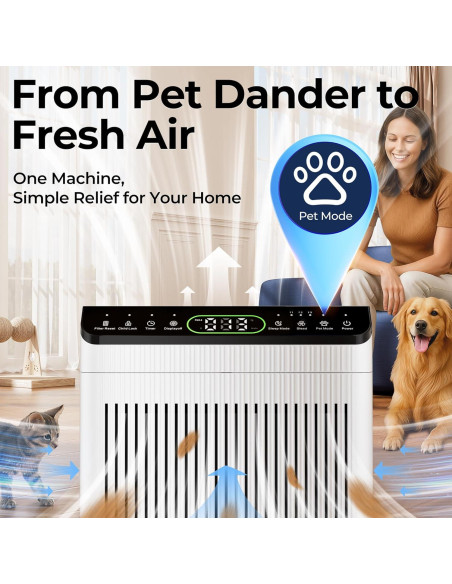 Purificador de Aire EVALIT para Habitaciones Grandes 204m