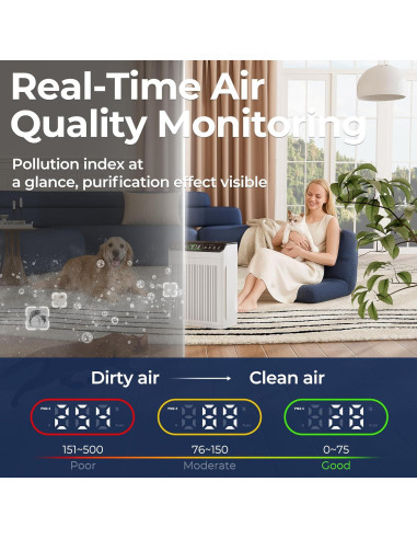 Purificador de Aire EVALIT para Habitaciones Grandes 204m