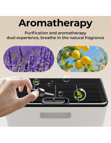 Purificador de Aire EVALIT para Habitaciones Grandes 204m