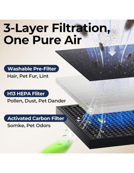 Purificador de Aire EVALIT para Habitaciones Grandes 204m