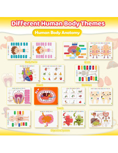 Libro Ocupado del Cuerpo Humano Montessori MDINGTD 0.47 kg 2