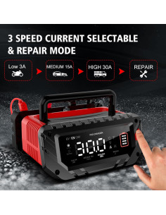 Cargador de Batería Inteligente Dght 30A 6V/12V/24V para Coche 2