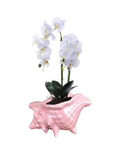 Maceta de Cerámica Beitewei Concha Rosa 12.19 cm Drenaje 2