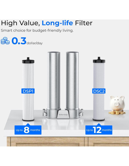 Filtro de Agua Bajo Fregadero Waterdrop WD-DST Acero Inoxidable