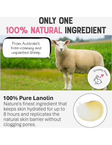 Bálsamo Original para Pezones Dr. Lipp 8ml - Hidratante Multiusos