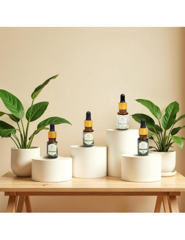 Set de Aceites Esenciales Elegancia Herbal - 4 x 10 ml