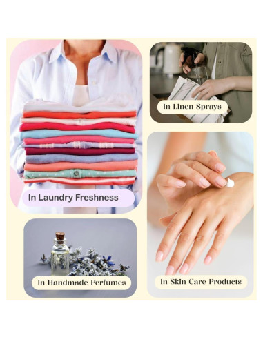 Set de Aceites Esenciales Elegancia Herbal - 4 x 10 ml