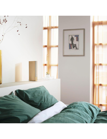 Altavoz Wi-Fi Bang & Olufsen Beosound Emerge Dorado