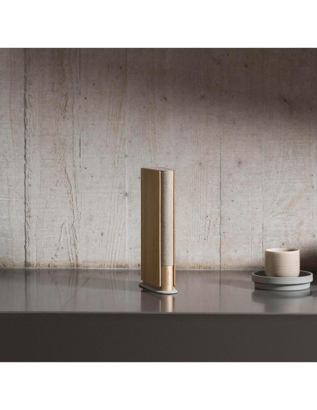 Altavoz Wi-Fi Bang & Olufsen Beosound Emerge Dorado