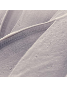 Limpiador Corporal Nutritivo Aesop Eleos 180ml 2