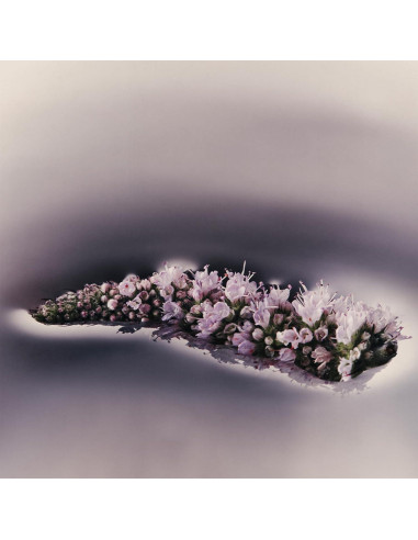 Limpiador Corporal Nutritivo Aesop Eleos 180ml