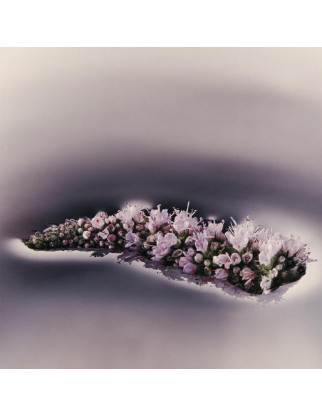 Limpiador Corporal Nutritivo Aesop Eleos 180ml